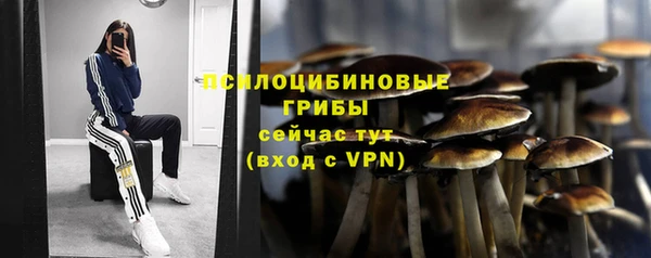 дмт Балахна